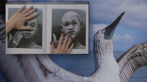 卡密尔·亨罗特，《非常累》，2013，录像，彩色，有声，13分钟.