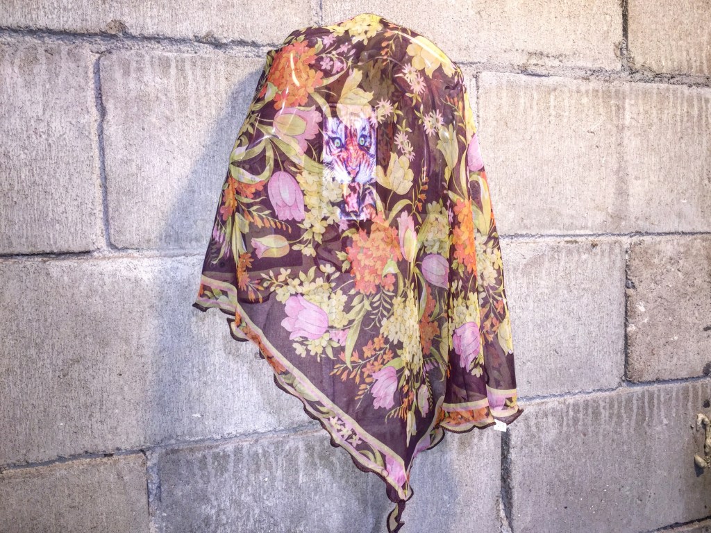 Of Gentrifiers and Rice