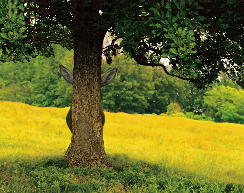 Interview: Cecilia Alemani